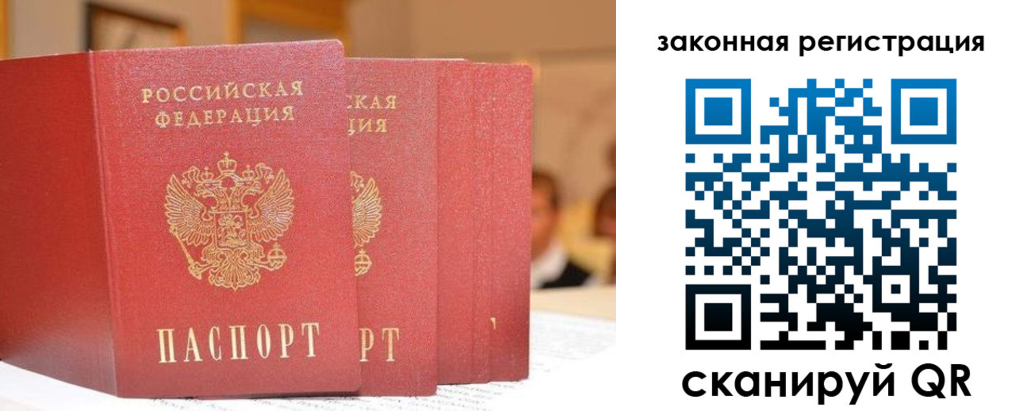 прописка поиск в Нововоронеже